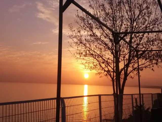 Basınkent 2 Sosyal Tesisi'nin yemek ve ambiyans fotoğrafları 6