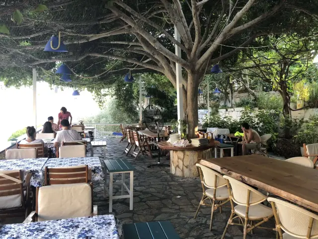 Derya Beach & Restaurant'nin yemek ve ambiyans fotoğrafları 13