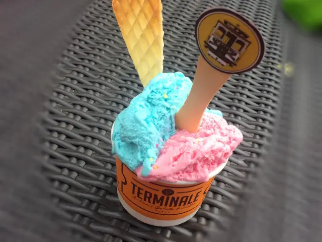 Gambar Makanan Terminale Gelato 5