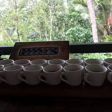 Gambar Makanan Luwak Coffee Bali 10