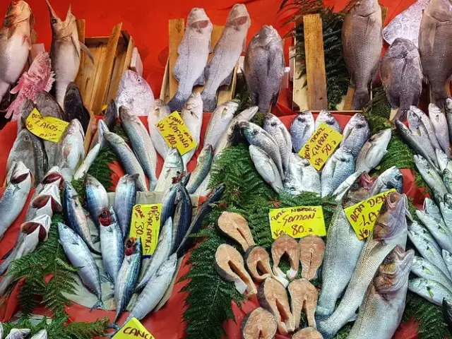 Coşkun Balık'nin yemek ve ambiyans fotoğrafları 79
