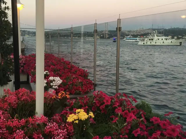 Aqua Restaurant - Four Seasons Hotel Bosphorus'nin yemek ve ambiyans fotoğrafları 55