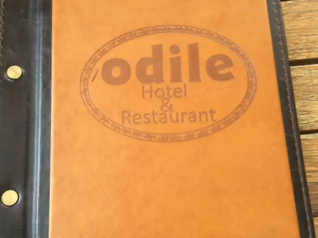 Odile Hotel Restaurant'nin yemek ve ambiyans fotoğrafları 37