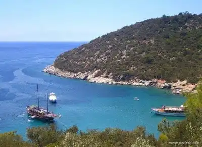 Özdere Kalemlik Restaurant'nin yemek ve ambiyans fotoğrafları 4