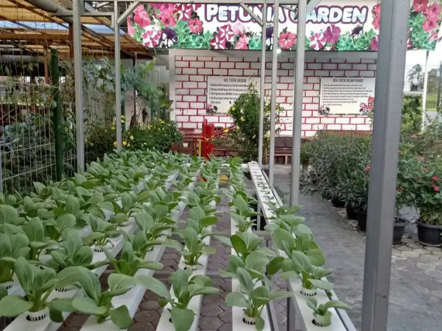 Gambar Makanan Joglo Ndeso Restaurant and Hydroponics 13