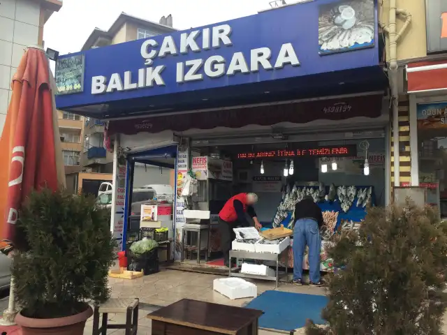 Çakır Balık Izgara'nin yemek ve ambiyans fotoğrafları 5