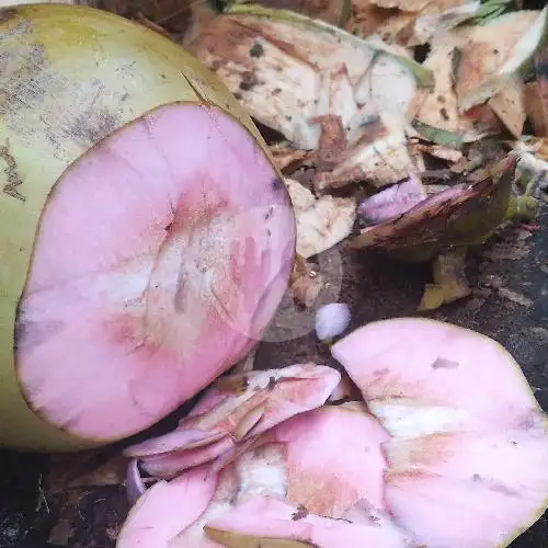 Gambar Makanan Kelapa Muda 7