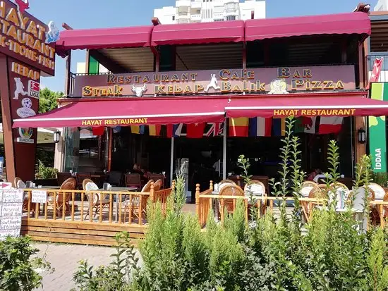 Hayat Restaurant'nin yemek ve ambiyans fotoğrafları 16