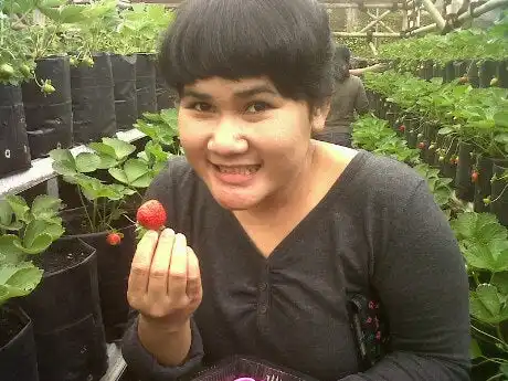 Gambar Makanan Rumah Stroberi (Resto & Kebun) 10