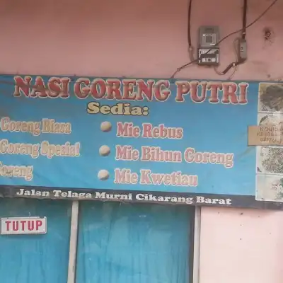 Nasi Goreng & gado gado putri