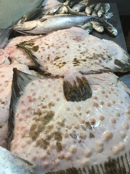 Vela Balık'nin yemek ve ambiyans fotoğrafları 56