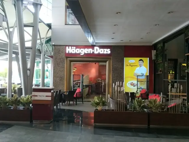 Gambar Makanan Haagen - Dazs 9