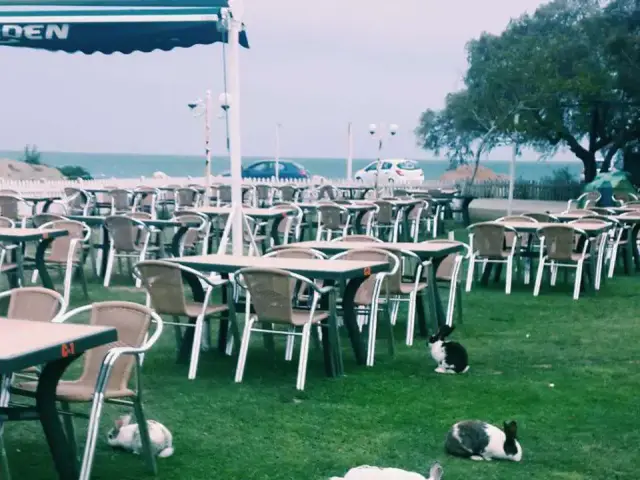 Batı Garden Restaurant'nin yemek ve ambiyans fotoğrafları 12