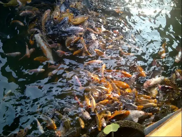 Gambar Makanan Pondok Ikan Bakar Kharitzma 3