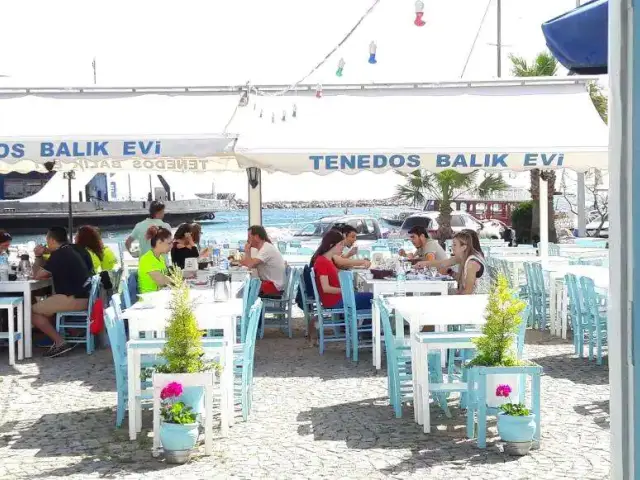 Tenedos Balık Evi'nin yemek ve ambiyans fotoğrafları 49