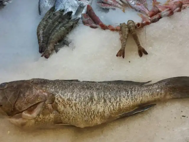 Taşkapı balıklı meyhane'nin yemek ve ambiyans fotoğrafları 13