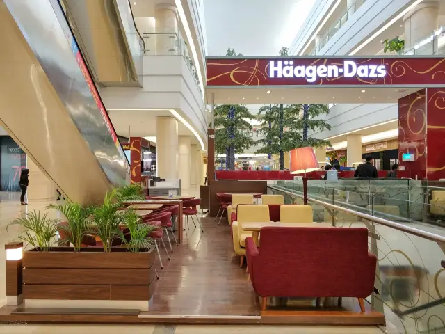 Gambar Makanan Haagen - Dazs 7