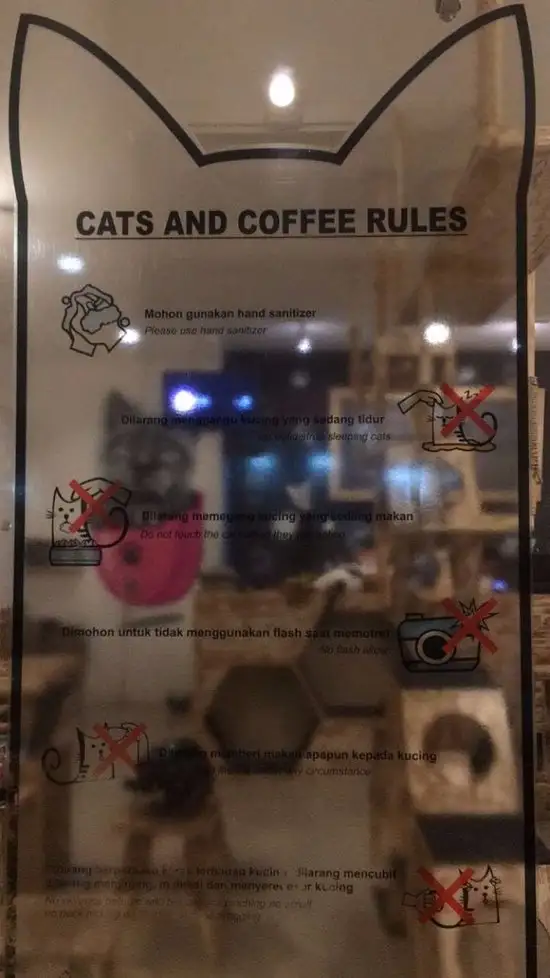 Gambar Makanan Cats and Coffee 1