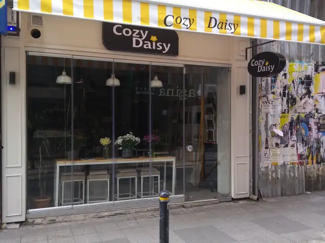 Cozy Daisy'nin yemek ve ambiyans fotoğrafları 3