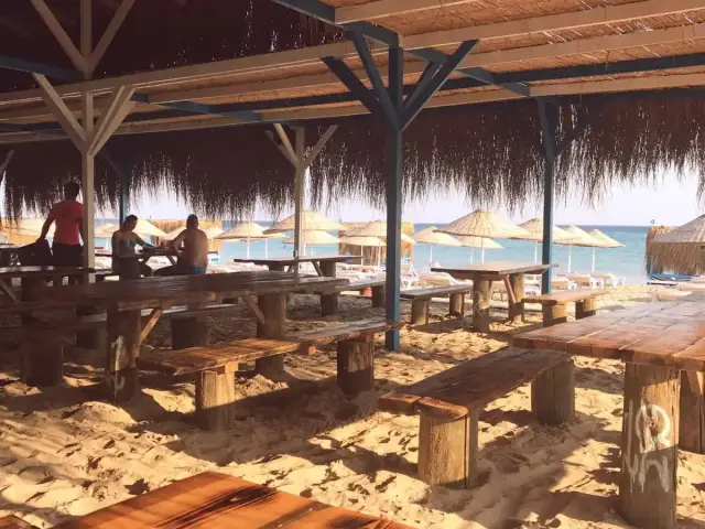 Dharma Beach Club'nin yemek ve ambiyans fotoğrafları 4