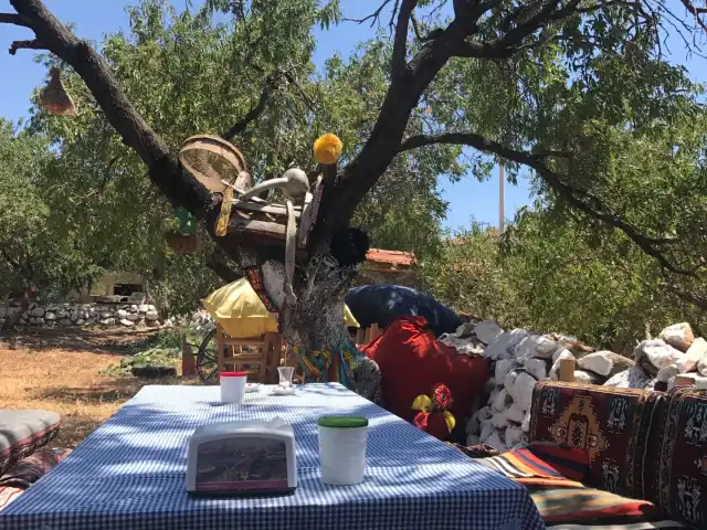 Taşlı Tarla Cafe'nin yemek ve ambiyans fotoğrafları 9