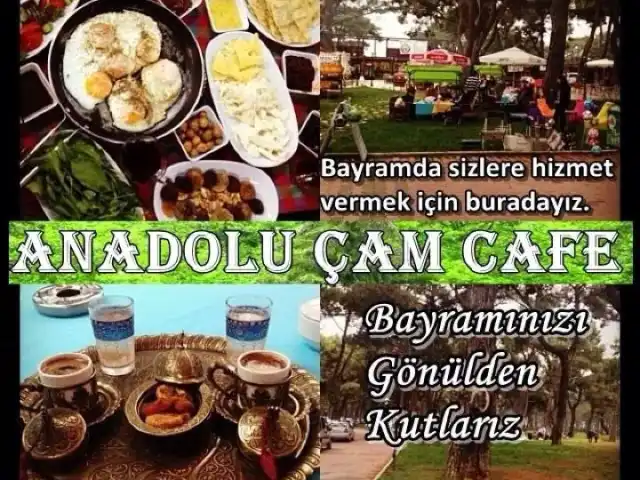 Anadolu Çam Cafe'nin yemek ve ambiyans fotoğrafları 18
