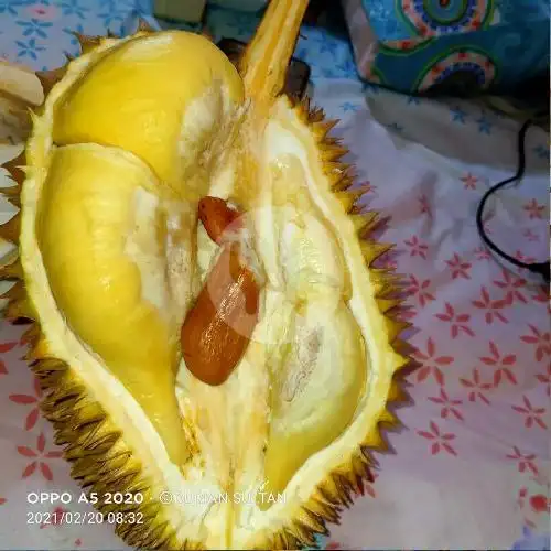 Gambar Makanan Horas Bintang Durian 3