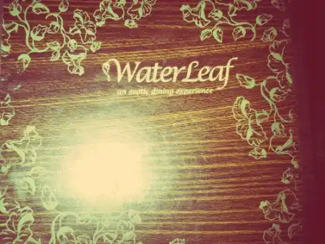Waterleaf cafe