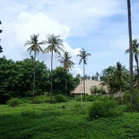 Gambar Makanan Gili Food Forest 7