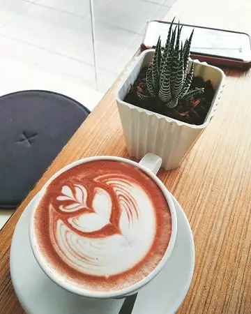 Purveyor Coffee Food Photo 1