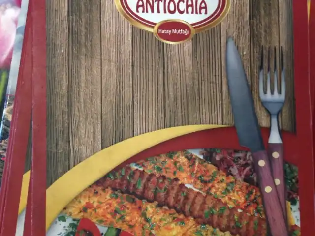 Antiochia Restaurant (Hatay Sofrası)'nin yemek ve ambiyans fotoğrafları 8