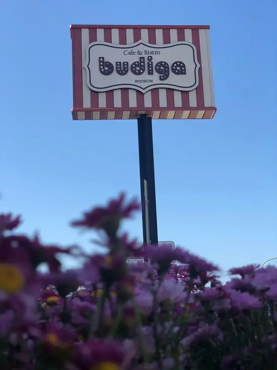 Budiga Cafe & Bistro'nin yemek ve ambiyans fotoğrafları 2