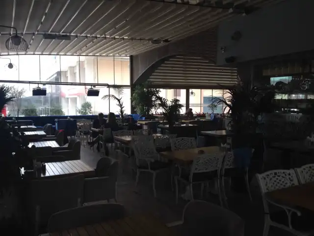 Mavi Tuna Cafe & Bistro'nin yemek ve ambiyans fotoğrafları 3