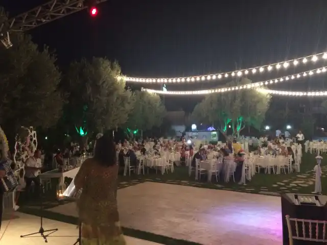 Veera Cafe Restaurant & Organizasyon'nin yemek ve ambiyans fotoğrafları 6