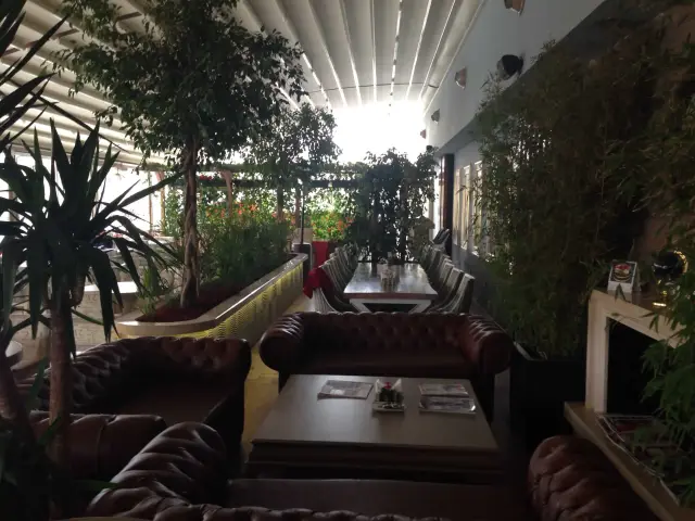 Mavi Tuna Cafe & Bistro'nin yemek ve ambiyans fotoğrafları 2