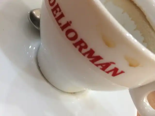 Deliorman Cafe'nin yemek ve ambiyans fotoğrafları 1