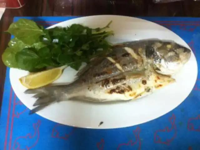 Ecem Balık'nin yemek ve ambiyans fotoğrafları 1