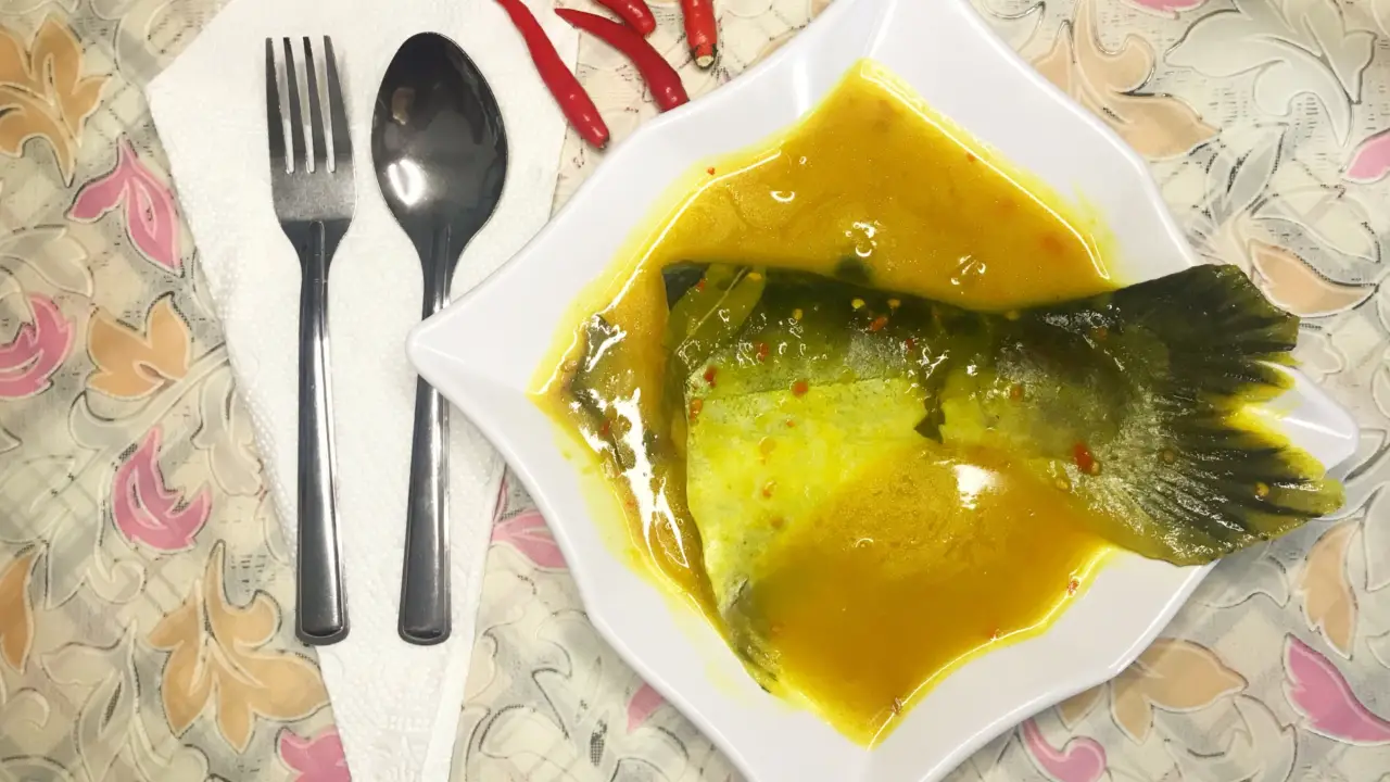 PATIN POYOK PEPALIH