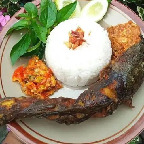 Gambar Makanan PECEL LELE BINTANG 1