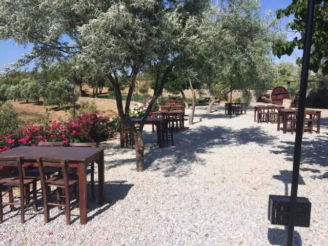 Karadut Bağ Evi Restaurant'nin yemek ve ambiyans fotoğrafları 3