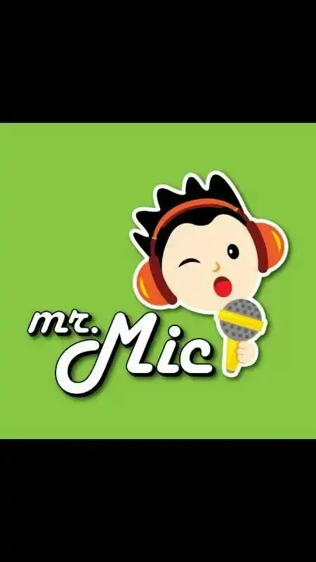 Mr Mic