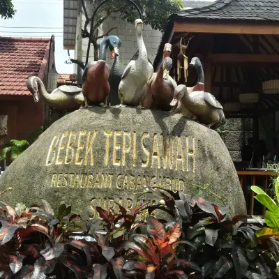 Bebek Tepi Sawah