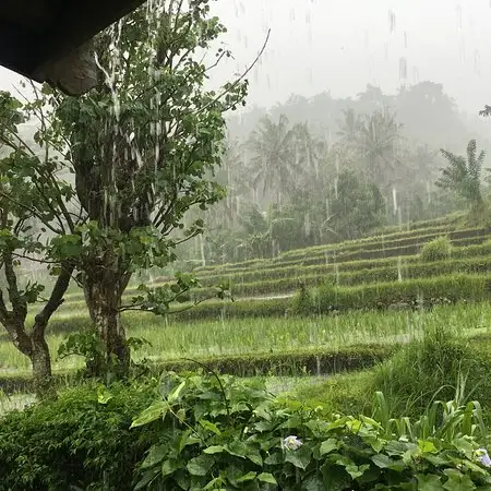 Gambar Makanan Puri Sawah Restaurant 6