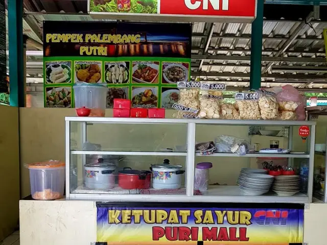 Gambar Makanan Ketupat Sayur CNI 13