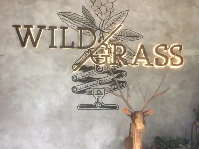 Gambar Makanan Wild Grass 5