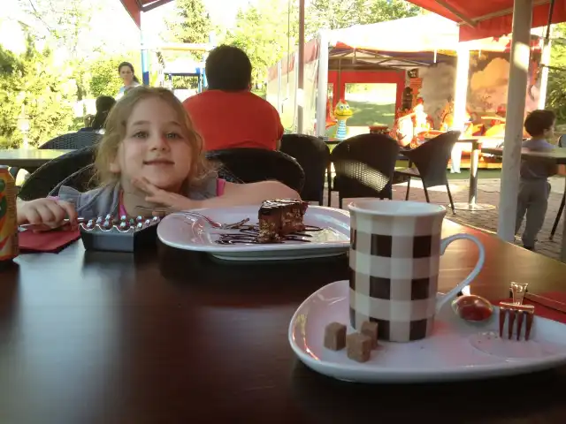 Family Cafe & Çay Bahçesi'nin yemek ve ambiyans fotoğrafları 9