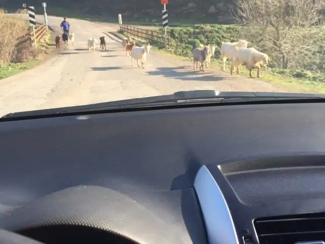 Haracci koyu Rumeli Koftecisi'nin yemek ve ambiyans fotoğrafları 5