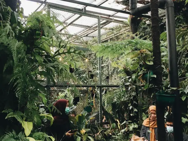 Gambar Makanan Hutan Hujan 9