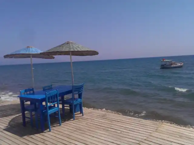 Sazlık Beach Club'nin yemek ve ambiyans fotoğrafları 6