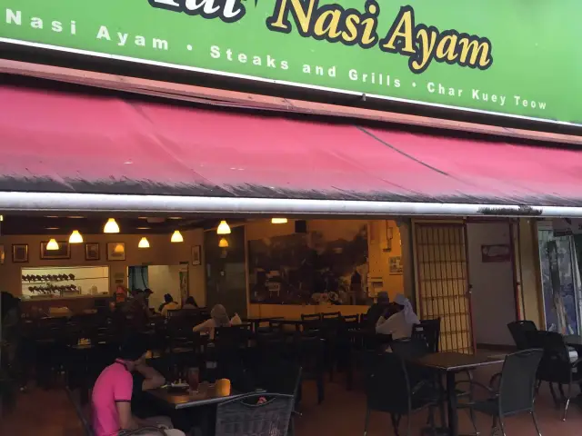 Tat Nasi Ayam Food Photo 3